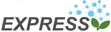Logo des Projekts Express