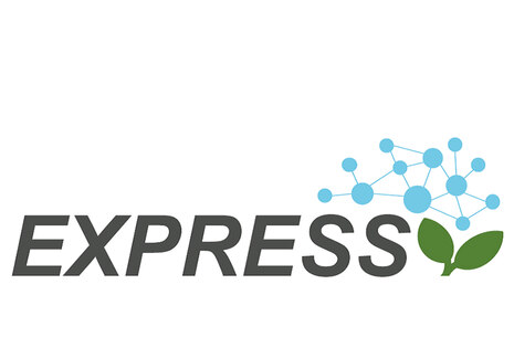 Logo des Projekts Express
